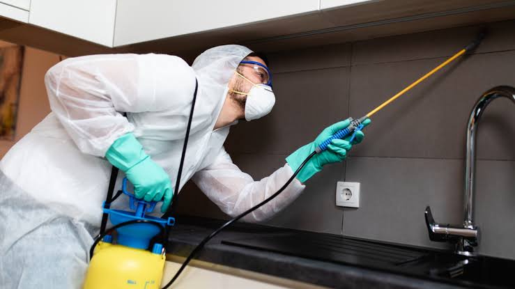 شركة مكافحة حشرات ببريدة