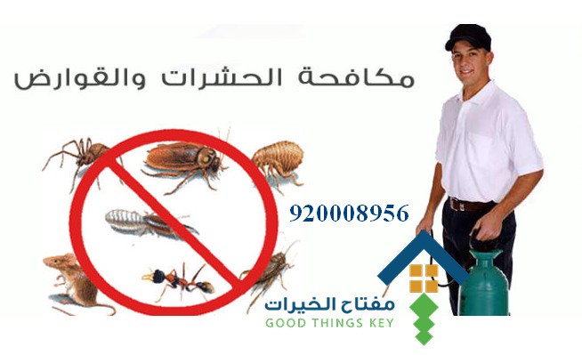 افضل شركة مكافحة حشرات بالرياض 920008956