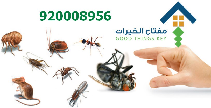 افضل شركة رش حشرات جنوب الرياض 920008956