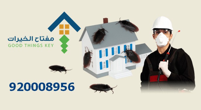 افضل شركة رش حشرات شمال الرياض 920008956