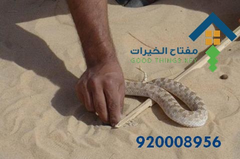 افضل شركة مكافحة الثعابين غرب الرياض 920008956