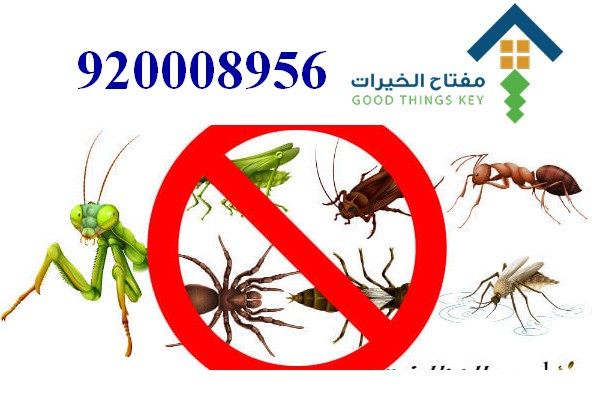 افضل شركة مكافحة الحشرات جنوب الرياض 920008956
