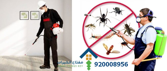 افضل شركة مكافحة الحشرات شمال الرياض 920008956
