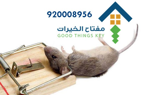 افضل شركة مكافحة الفئران جنوب الرياض 920008956