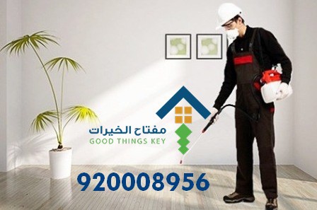 افضل شركة مكافحة حشرات جنوب الرياض 920008956