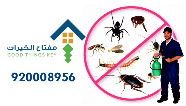 افضل شركة مكافحة حشرات شرق الرياض 920008956