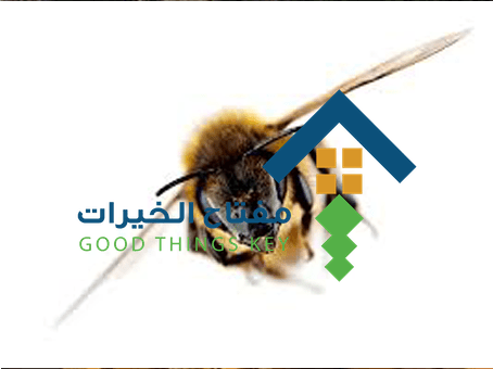 شركة مكافحة النحل جنوب الرياض
