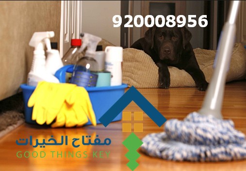 اسعار تنظيف منازل شرق الرياض 920008956