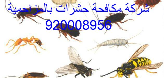 شركة مكافحة حشرات بالمزاحمية 0552272331