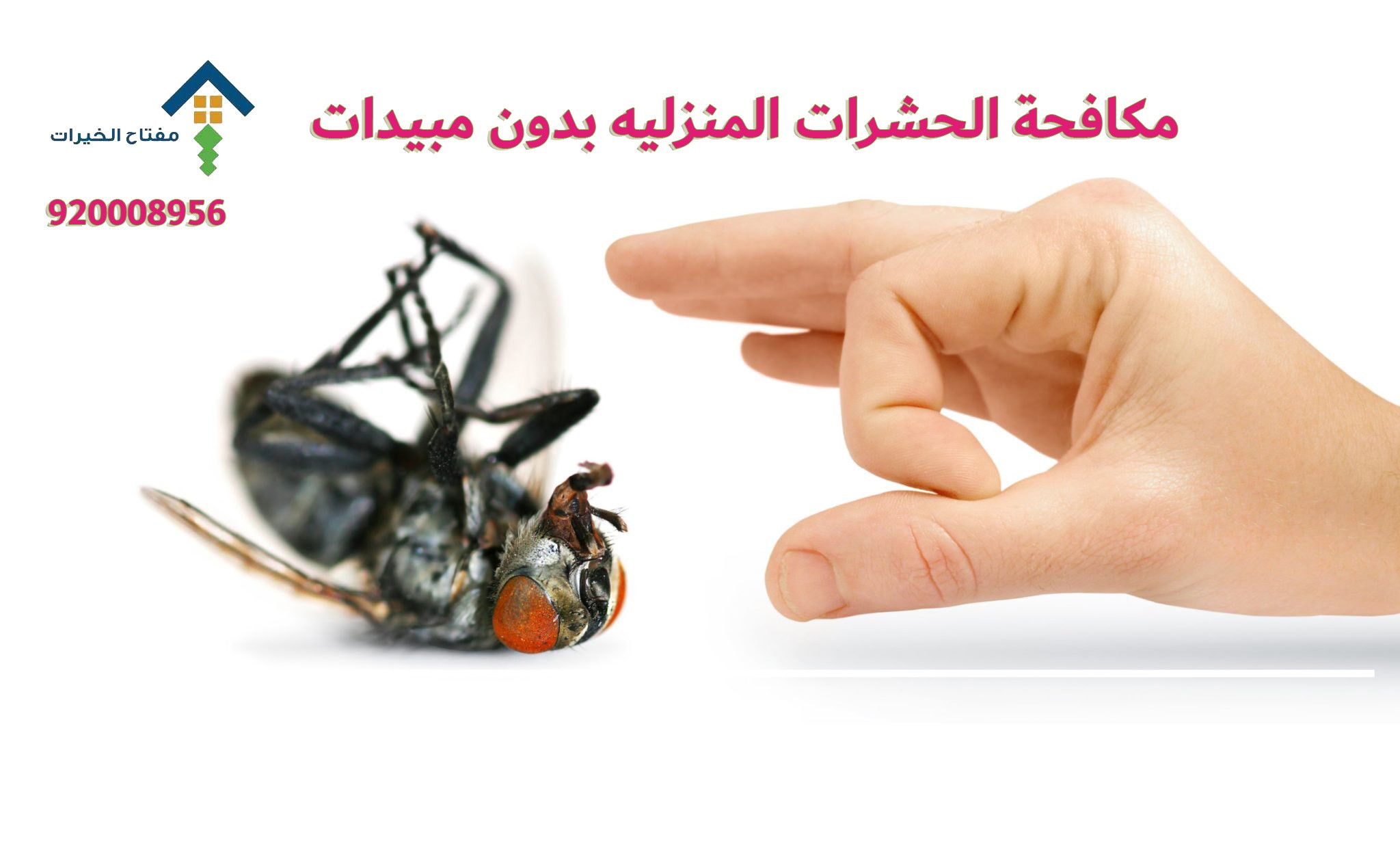 مكافحة الحشرات المنزليه بدون مبيدات 920008956
