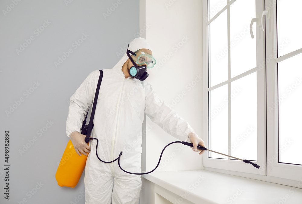 شركة رش مبيدات بالبكيرية