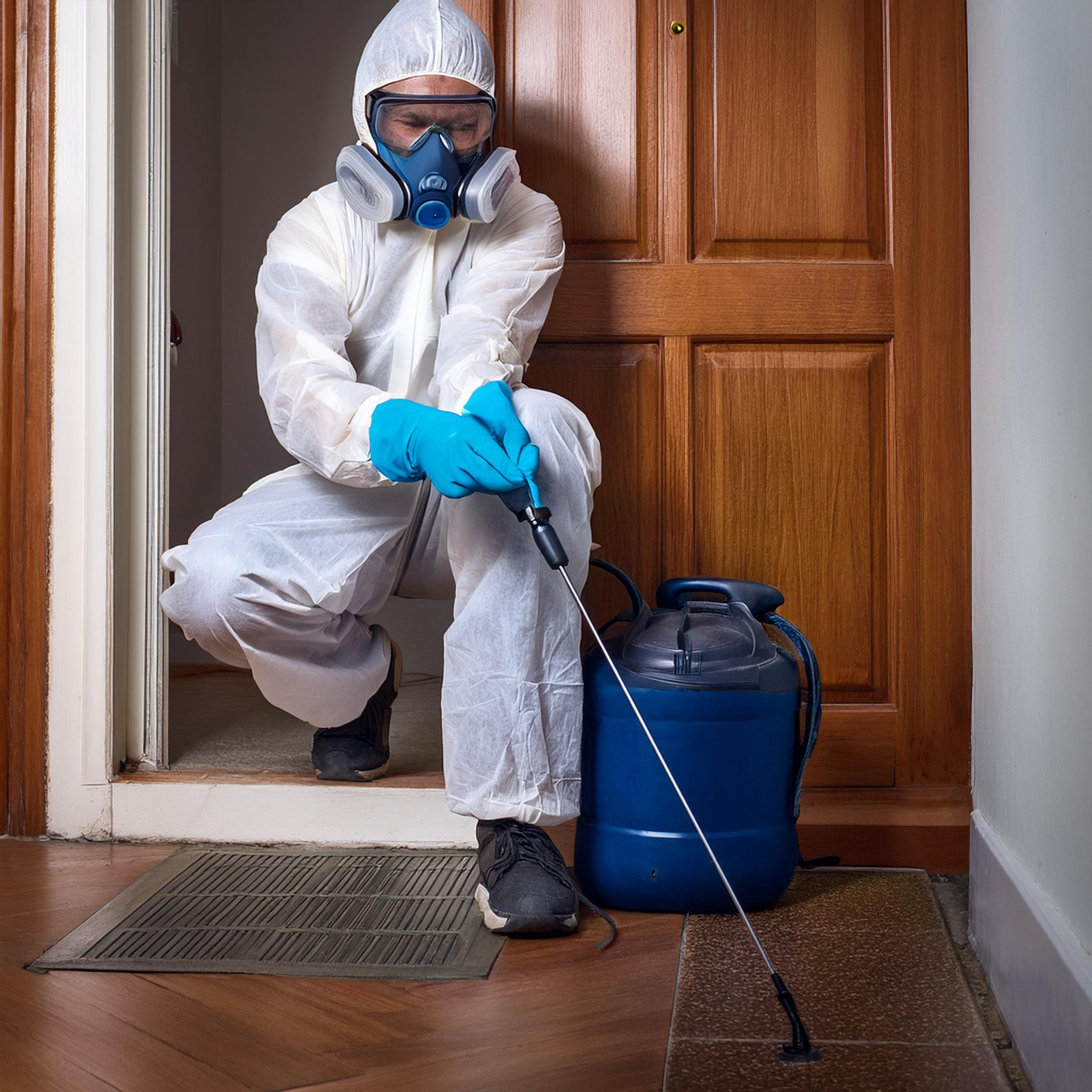 شركة مكافحة حشرات بحائل